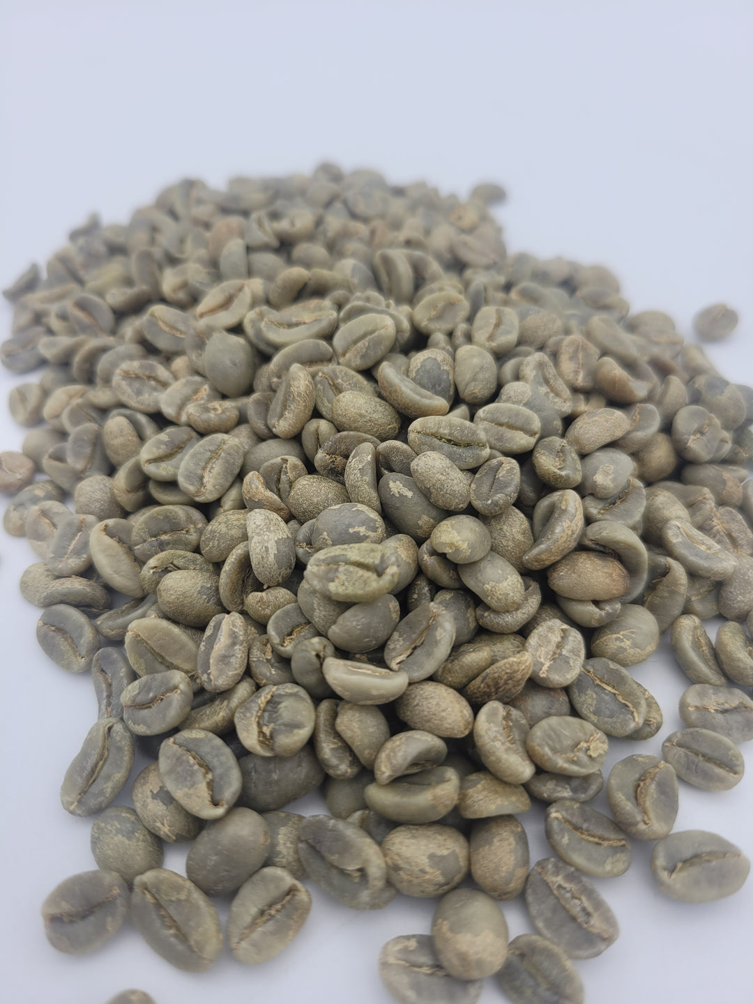 Costa Rica - Turrialba - Aquiares Estate - Fully Washed - 50 Pound Boxes