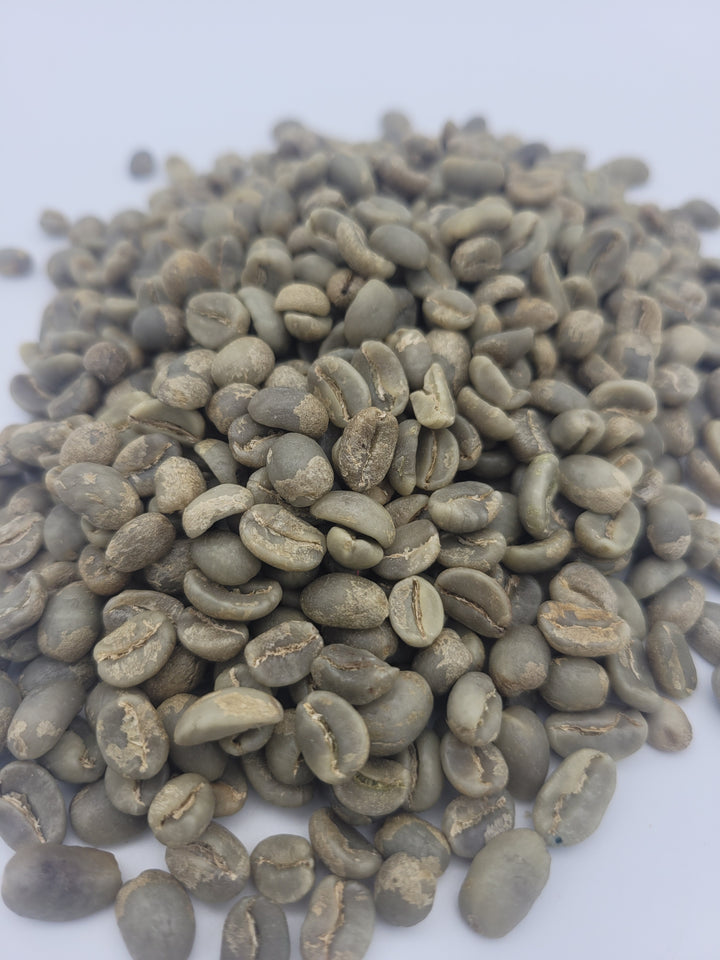 Colombia Ebejico Washed